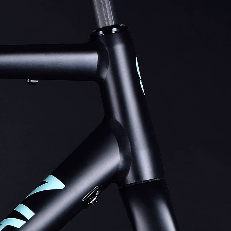 Bowman Cycles PalaceR Headtube